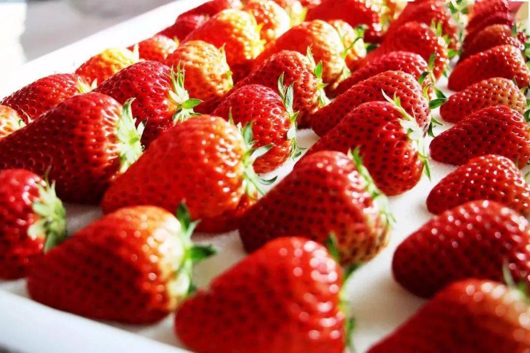今天,小编走访了多家水果店以及水果市场,其中水果店丹东草莓一斤10颗