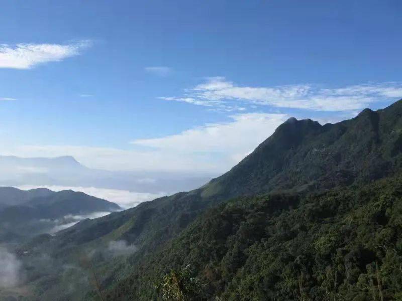 海南热带雨林国家公园管理局鹦哥岭分局荣获第十届"母亲河奖"优秀组织