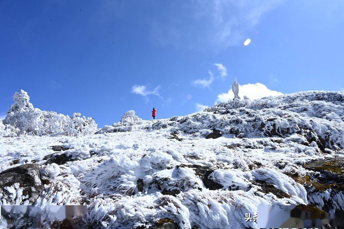 云南昆明首雪轿子雪山下雪了来感受昆明的冰雪世界