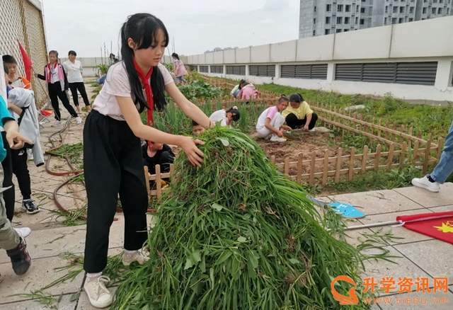 三年级一班:吕欣晏 今天,我和同学们来到我们班的"小蜜蜂植物园"参与