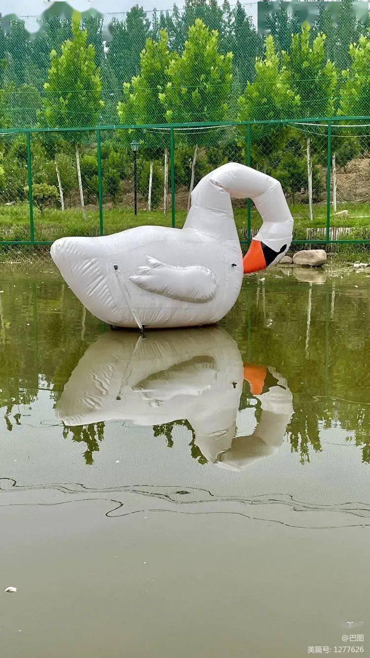 天鹅湖伊河湿地游园掠影