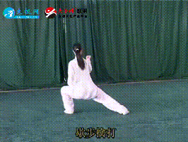 终于来了您要的太极拳四十二式动图全解都在这里了