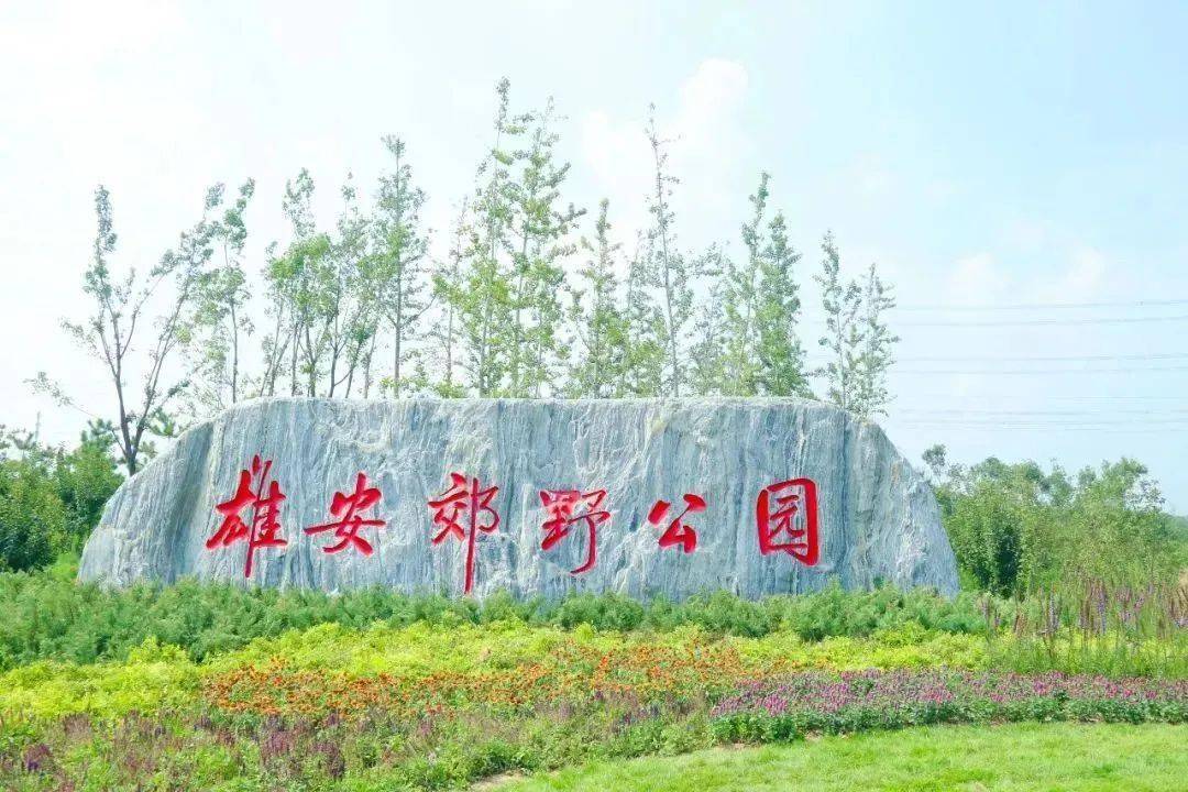 中建一局丨大型郊野公园竣工交付!绘就雄安新区生态"迎客厅"