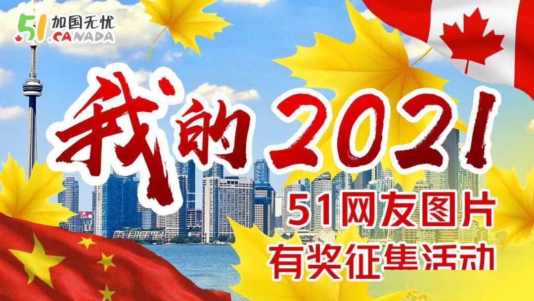 51网发起征集《我的2021》图片活动,欢迎参加!