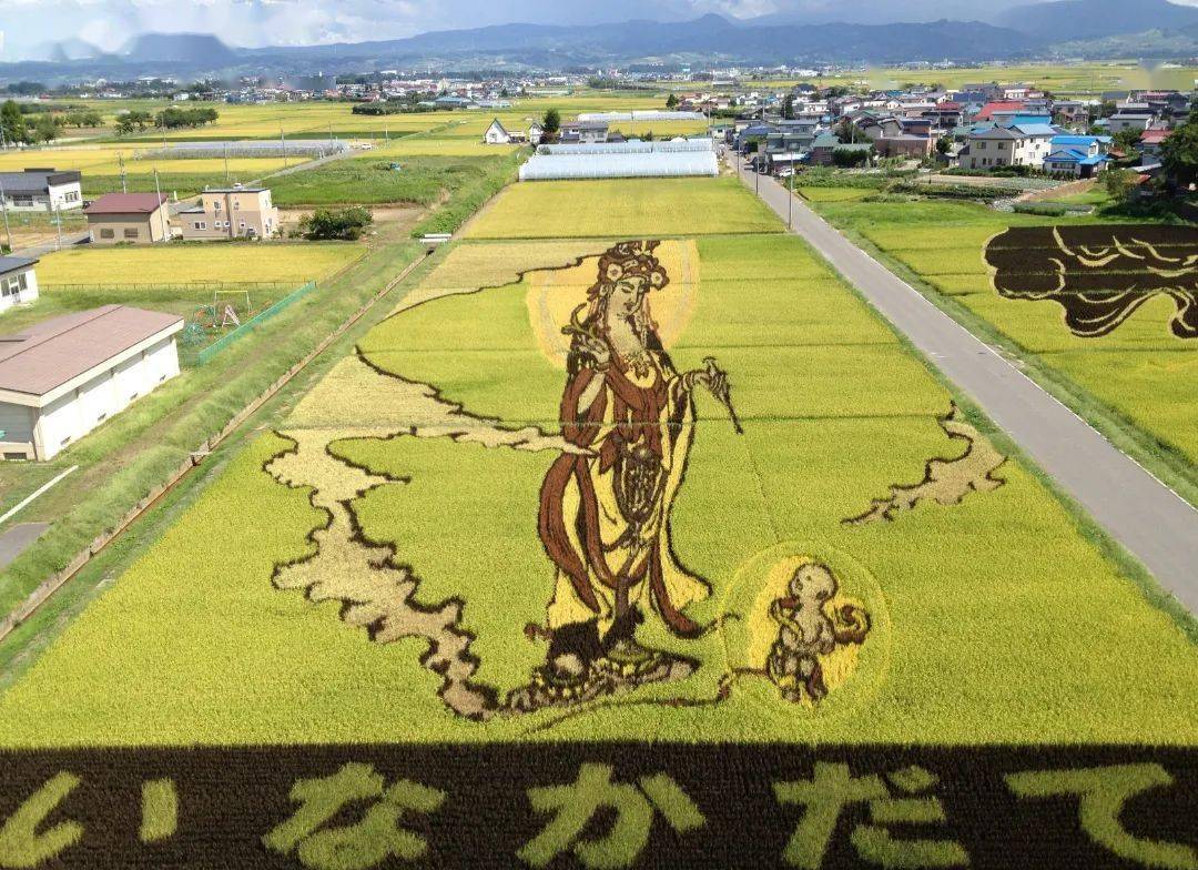 日本的稻田艺术