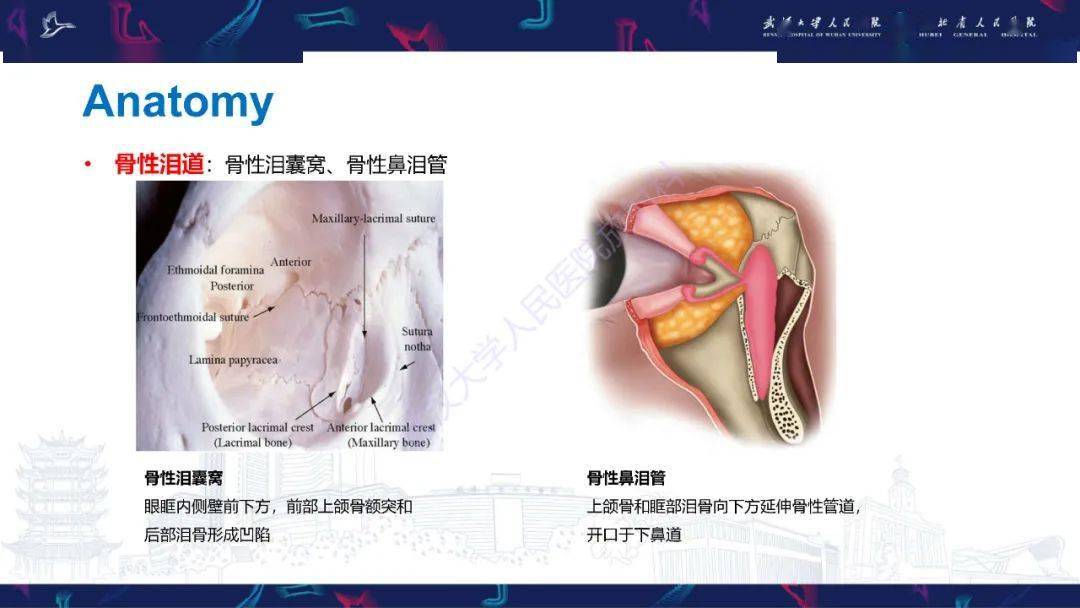 泪道病变影像诊断_全网_解剖图_系统