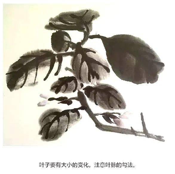 【国画教程】写意茄子画法_齐白石_露实_作品