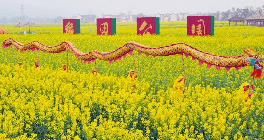 安仁稻田公园