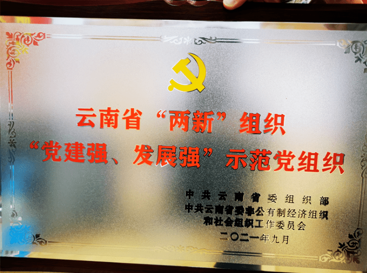 党建_昆明市_云南省