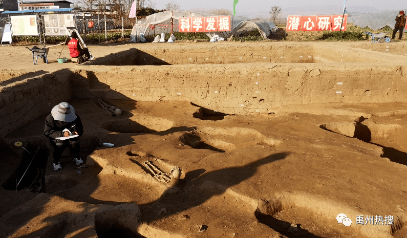 【本地】禹州瓦店遗址又有重大发现!