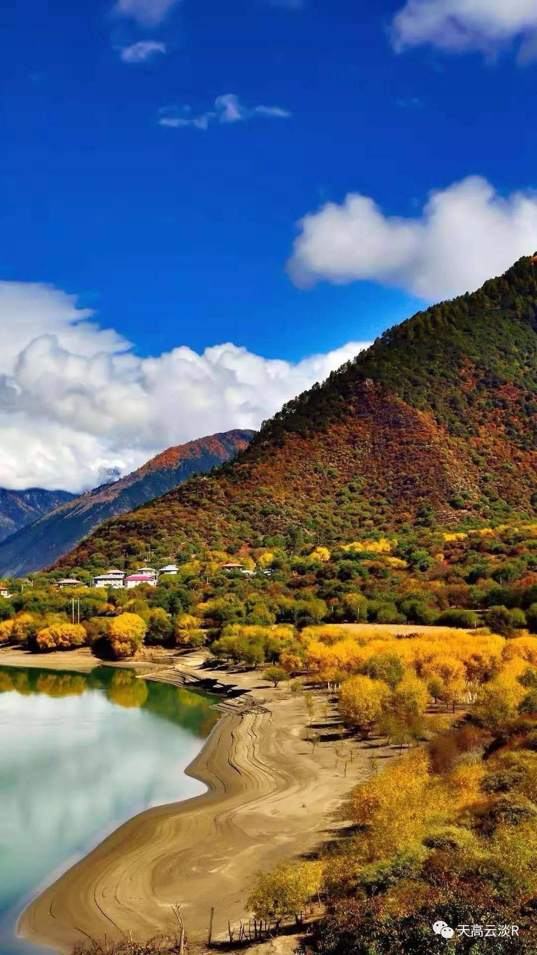 中国散文学会|#天高云淡# 冬日闲吟（外两首）