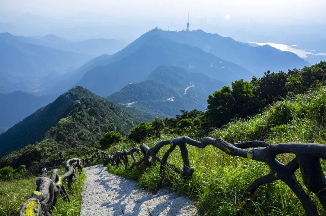 藏不住了梧桐山入选广东最美旅游目的地3条路线赏遍美景