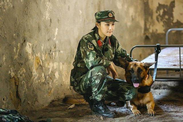 《奇兵神犬》展开荒岛求生,杨烁沙溢逗乐上线张馨予被