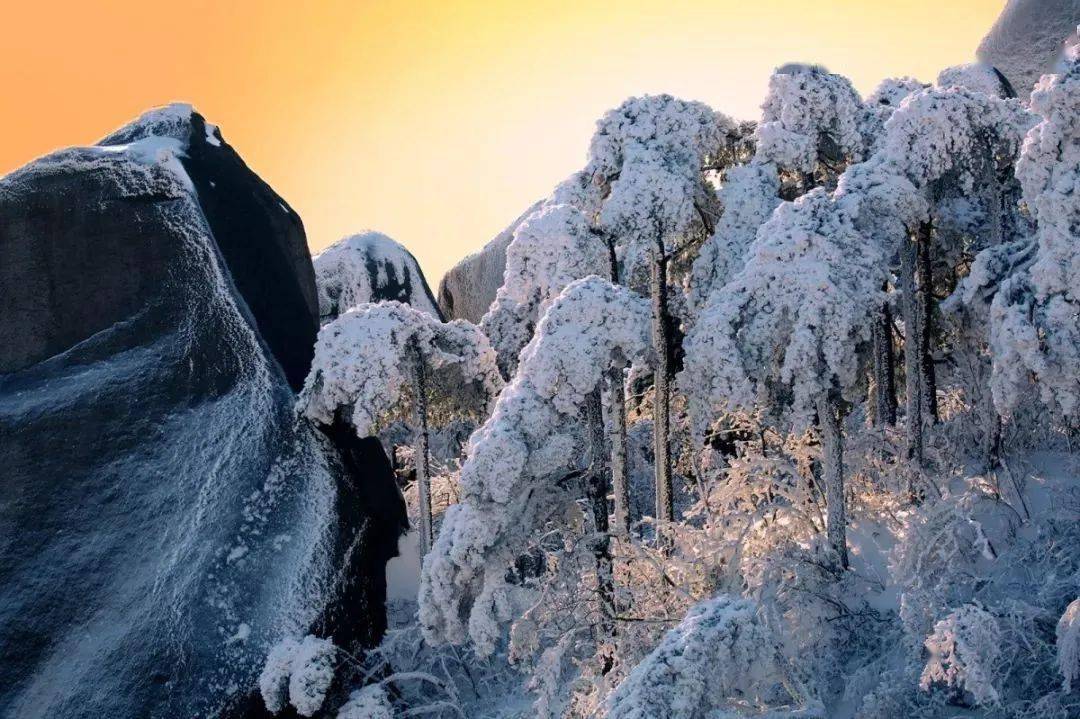 雾凇雪景说好的相约天柱山呢