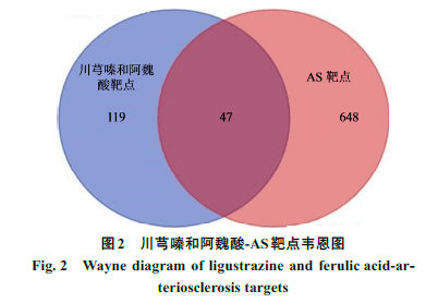 1"项川芎嗪与阿魏酸靶点与as靶点通过draw venny diagram软件绘制韦恩