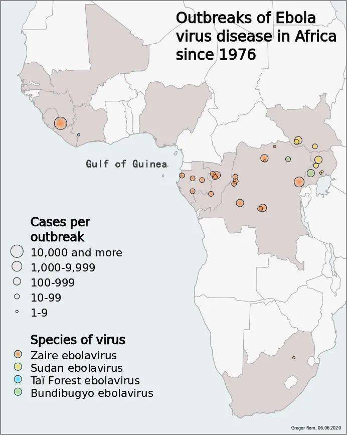 死亡率88非洲怪病为何如此厉害