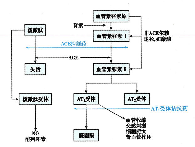 解决这个高血压用药问题,我翻遍了指南,教材,说明书_降低_肾脏_药物