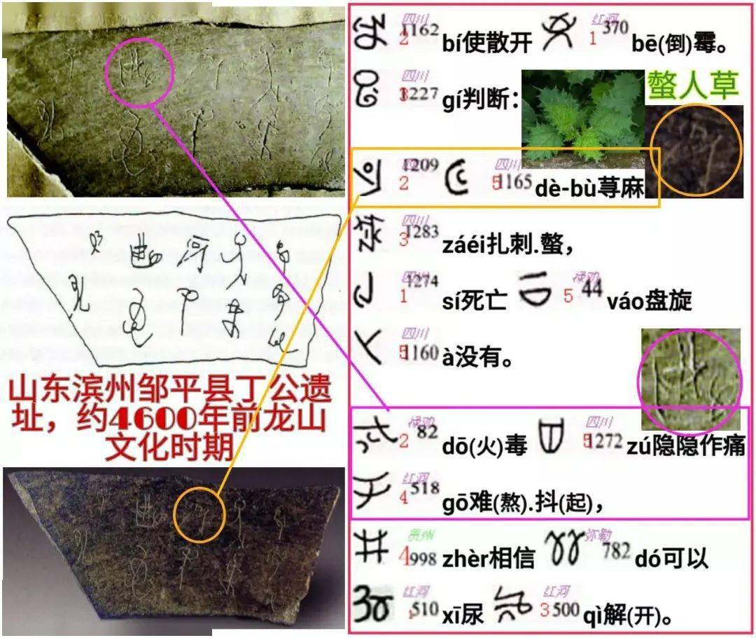 丁公陶文悬案告破中国有文字历史提前至龙山文化约4600年前