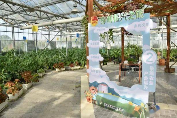 景瑞农业第二站大明艺苑学习社3号馆,里面陈列来自全国各地700多件