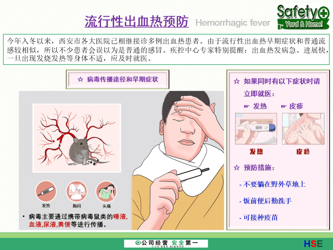 tbm传达流行性出血热预防