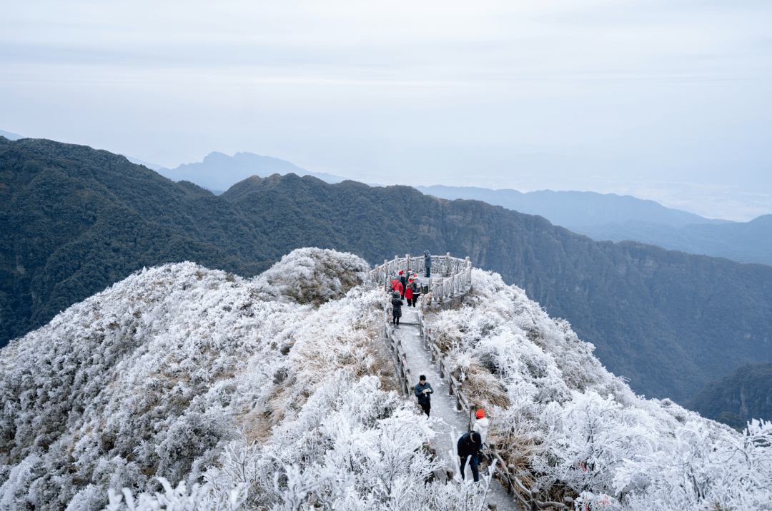 南宁大明山风景旅游区距南宁市区76公里,北回归线横贯中心,平均海拔