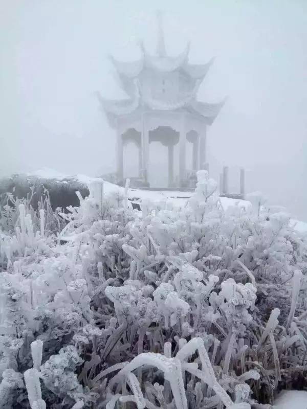 下雪啦福建多地迎初雪最新赏雪赏雾凇地图已码好拿上冲