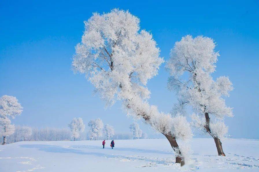 被东北偷偷藏起来的冰雪江城雾凇美景无敌正宗皇家火锅也发源于此