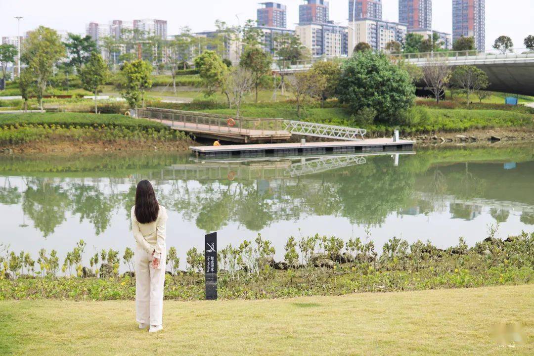 深圳「迷宫公园,足足450000㎡_桂湾_莫里_紫荆园