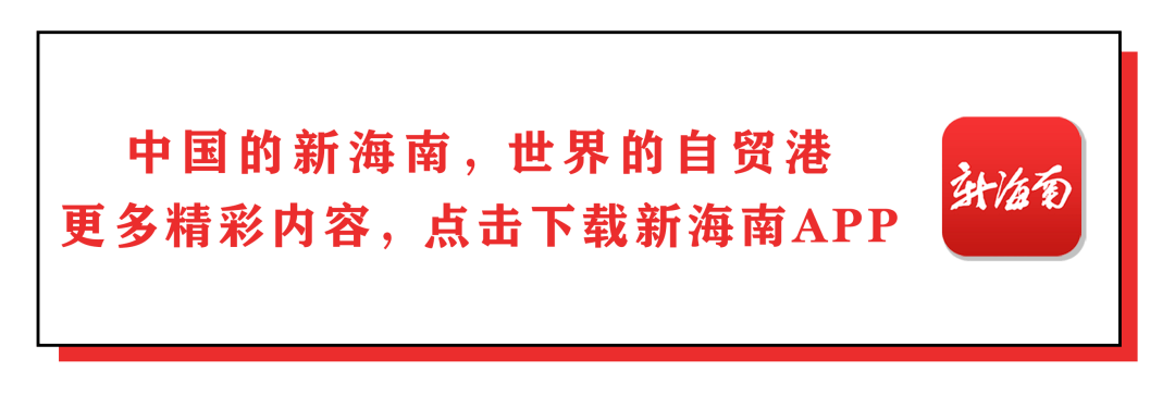 三亚市林业局原党组成员市公安局森林分局原局长解维