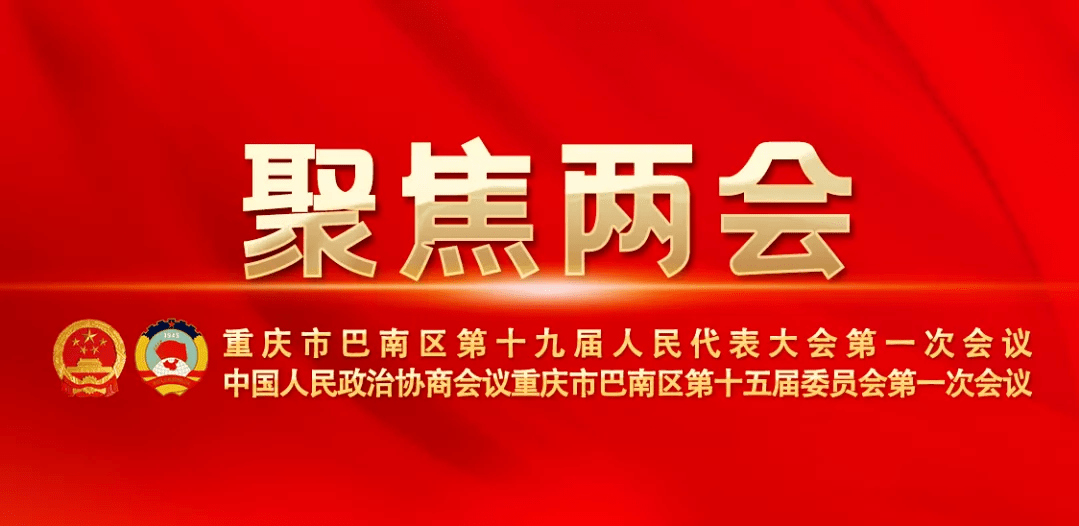 新一届巴南区人民政府领导班子亮相