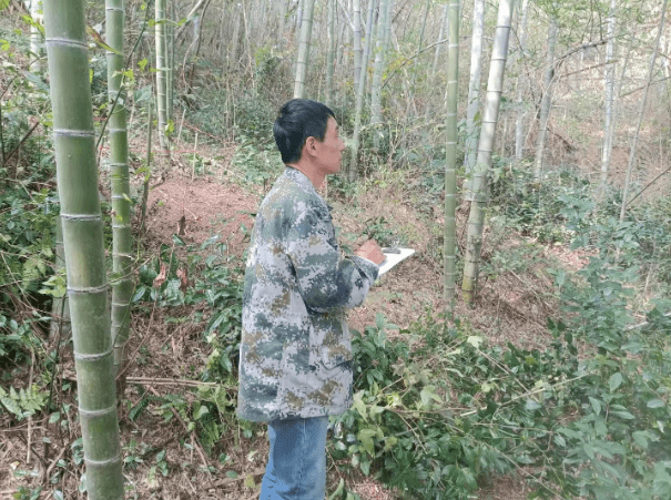 最美林长最美务林人评选金寨县燕子河镇林业站公益林护林员刘荣泉