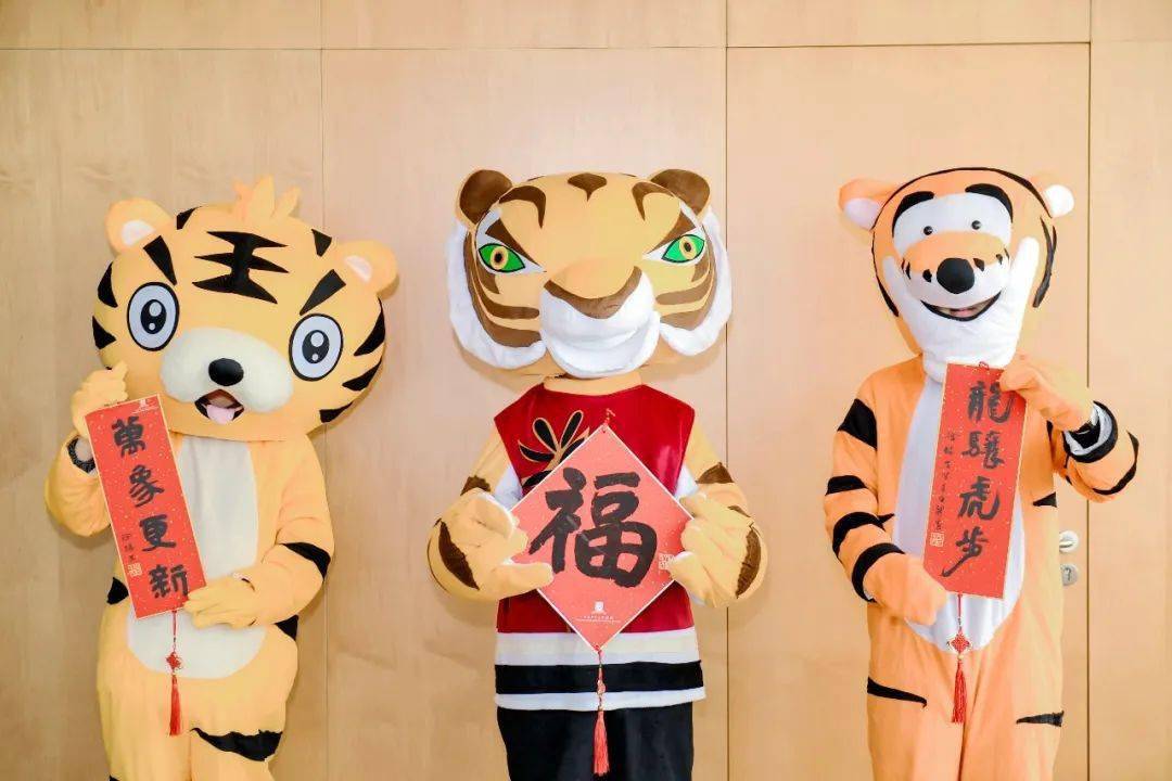 虎气满满迎新春港中大深圳萌虎出山送祝福
