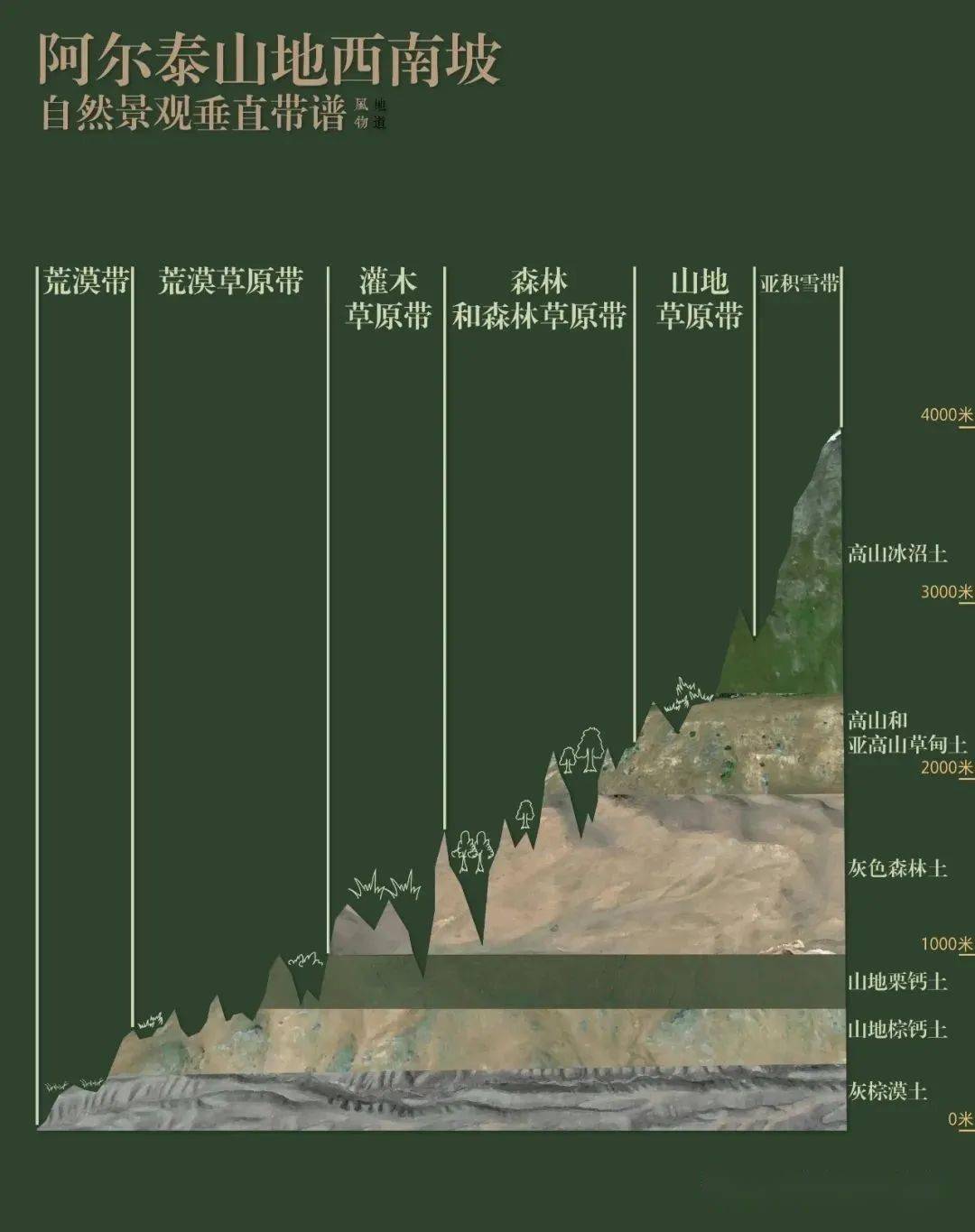 专题复习关于垂直地带性的专业解读附18座山脉的垂直自然带谱总结全了