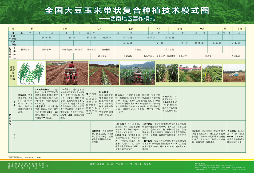 重磅消息大豆玉米带状复合种植指南发布