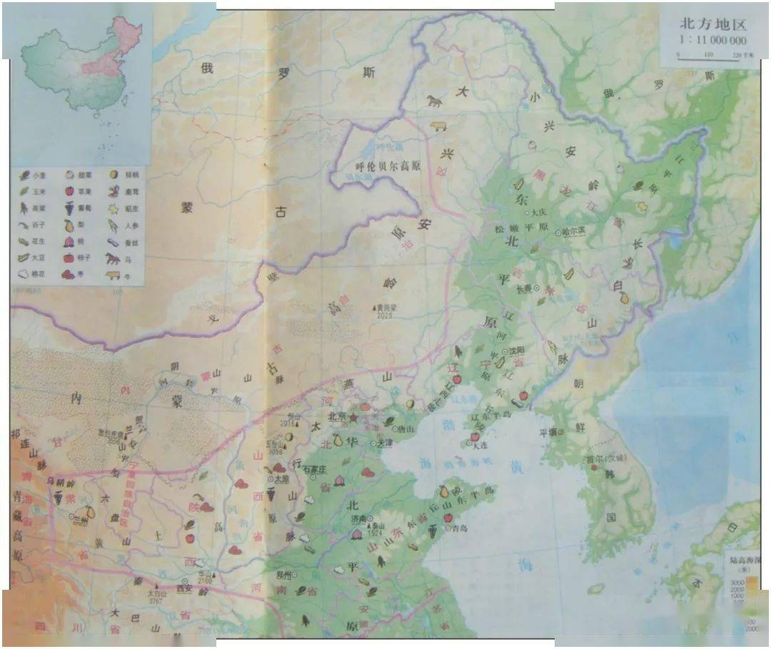 点总结(附中学全册练习高清地图)【收藏备用】100张空白世界地理地图