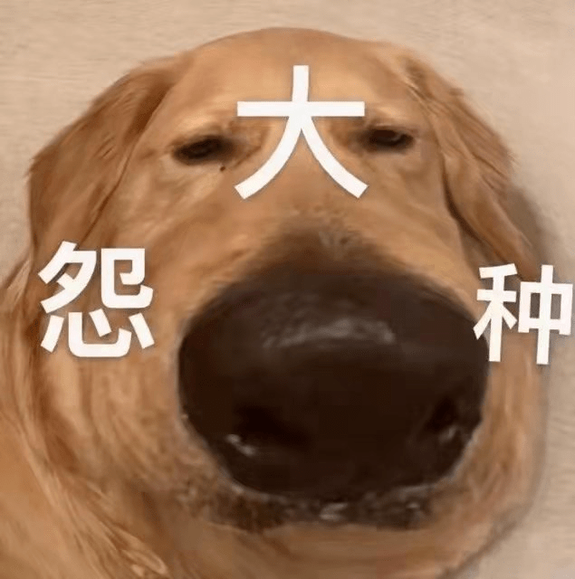 2022219雅思考试回忆这次考试我真的会谢