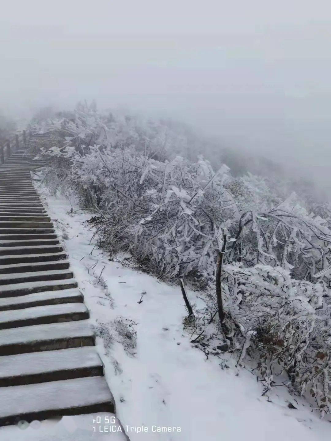 76 峰山↓↓↓小伙伴们的朋友圈各地的雪景雾凇刷爆了赣南大地银装