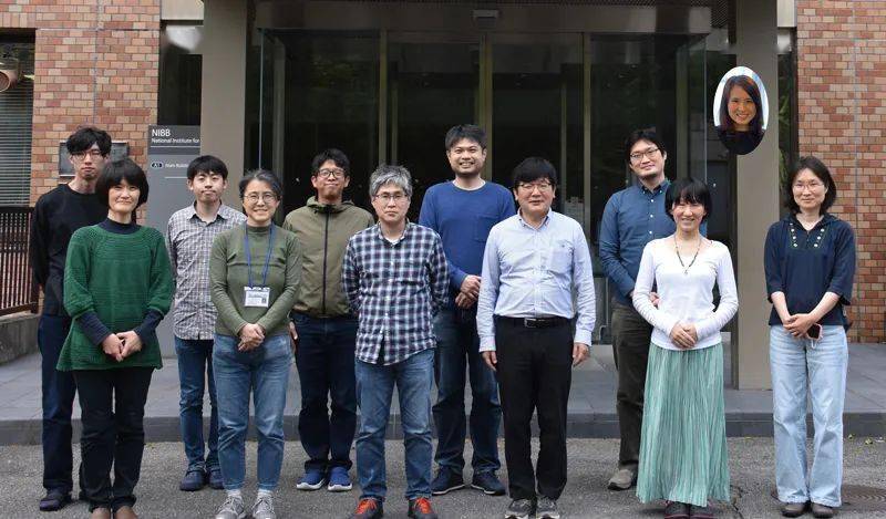 pnas突变体的巧妙利用为生长素甲基化在豆科植物根瘤发育早期阶段的