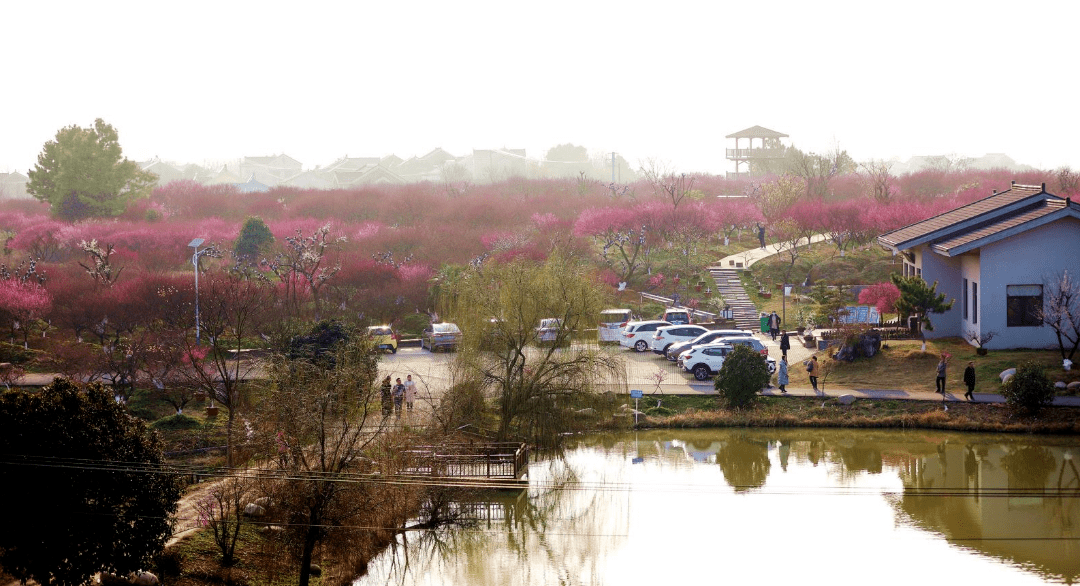 女神节线路来啦一起香约花季溧水