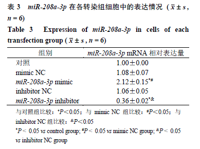 基于mir208a3p探究萝卜硫素对肝癌细胞增殖侵袭和迁移的影响