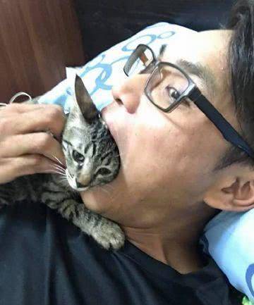 猫咪男子把猫塞到嘴里, 下一秒猫咪生无可恋: 这口臭让朕窒息