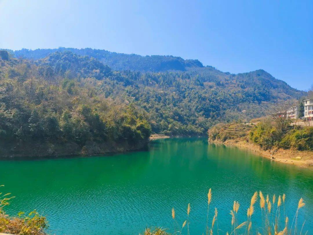 太阳河乡双河岭村,白杨坪镇麂子渡村,红土乡稻池村,三岔镇莲花池村等