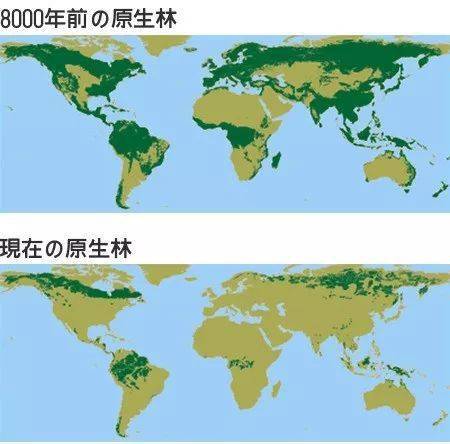 根据世界野生动物基金会(world wildlife fund)的说法,森林覆盖了地球