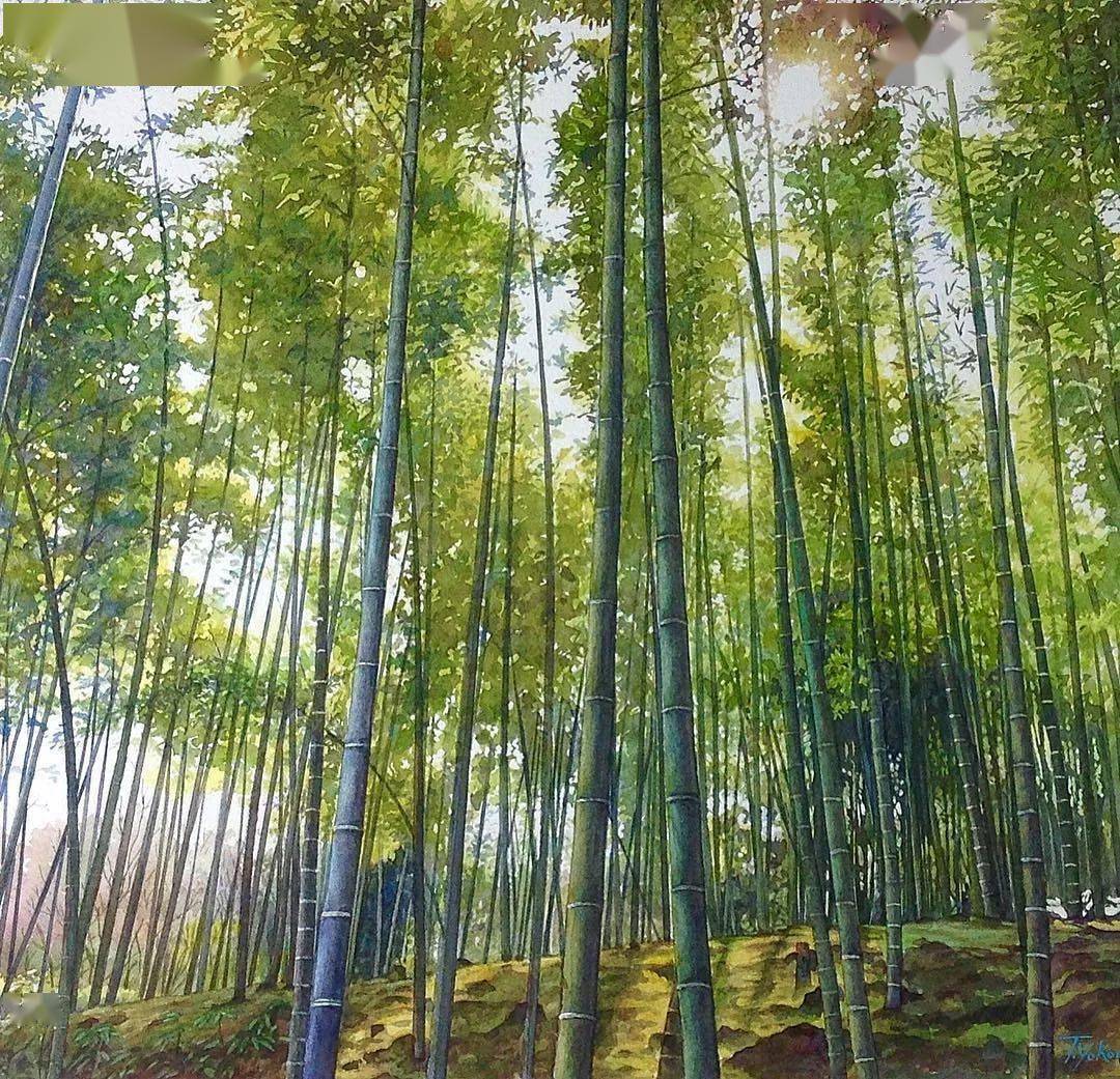 72岁大爷笔下这水彩唯美风景这清新花卉美爆你确定这不是照片看跪了