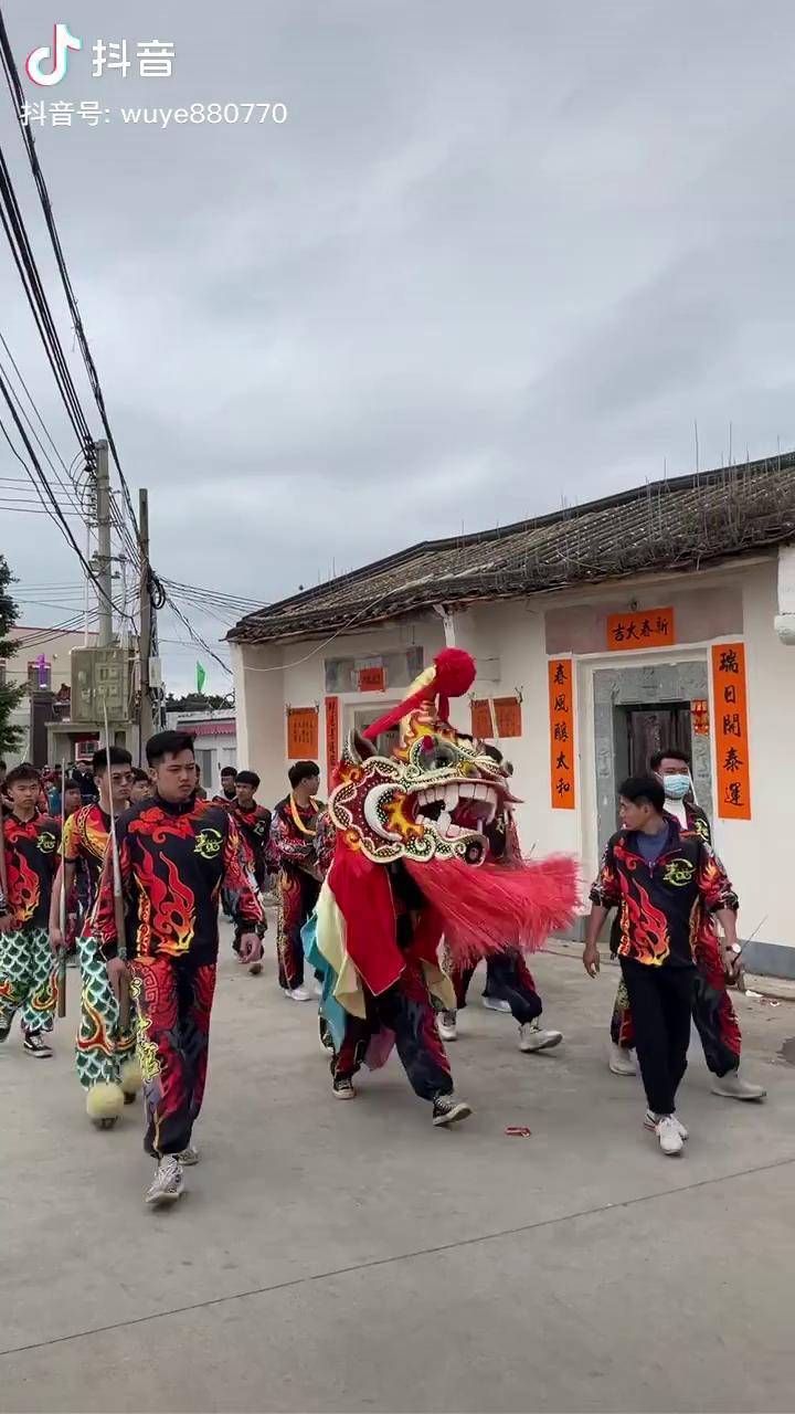 海陆丰海陆丰虎狮