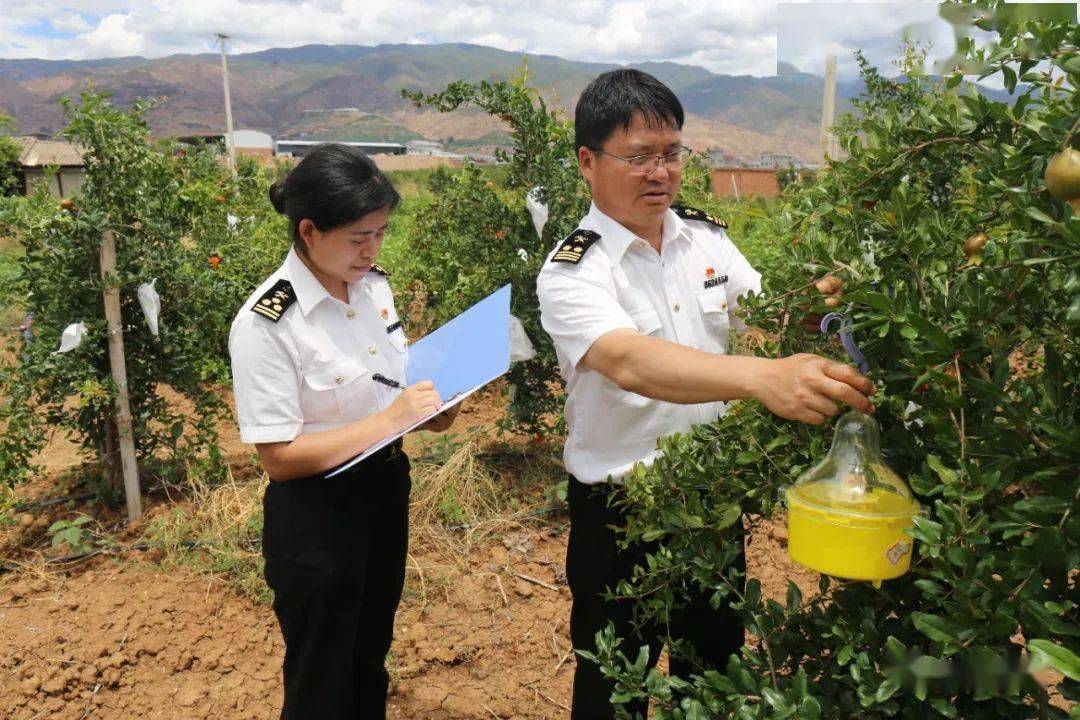 2004年上海海关学院毕业后,分配至昆明海关所属腾冲海关工作,2014年