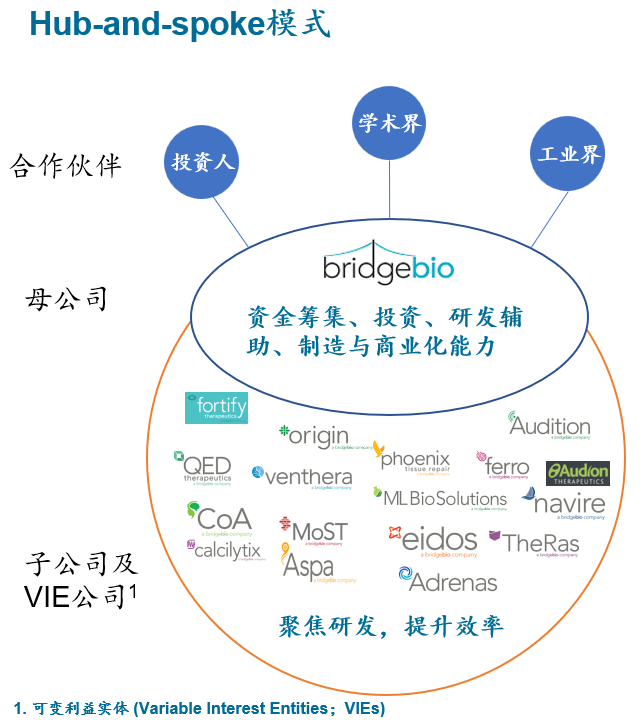 这家公司的hub-and-spoke模式下的子公司均享有半自治运营权,共享母