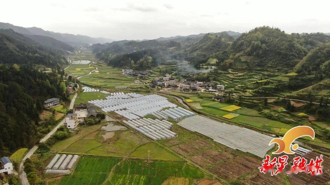 凉伞镇西瓜种植备耕忙农民致富产业旺