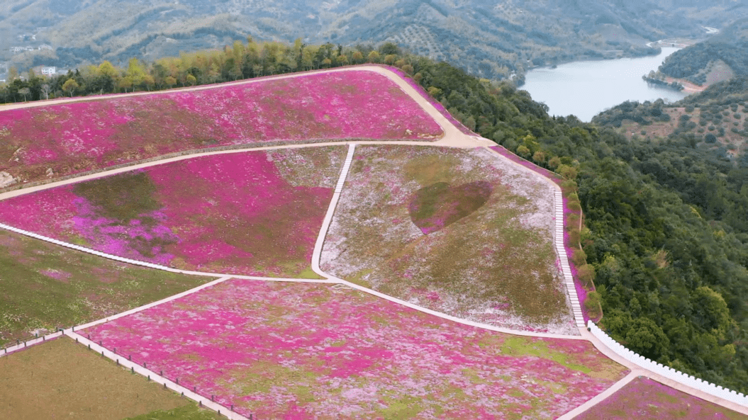 走,一起与芝樱花海,江南古镇来一场云邂逅…_宁波_中街_历史