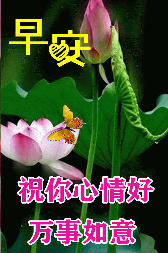 4月6日最漂亮早上好动态表情图片大全,早晨好动图美图大全_人生_朋友